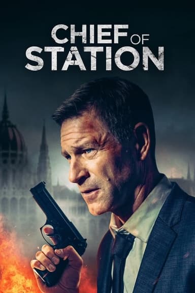 poster image