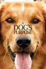 A Dog's Purpose