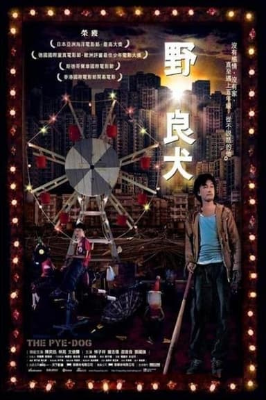 poster image