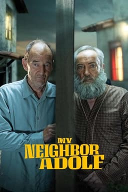 poster image