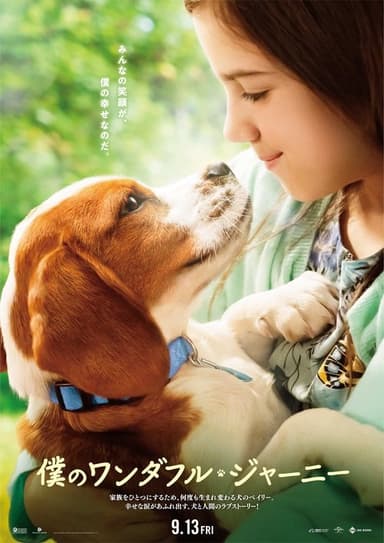 poster image