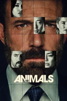 poster image
