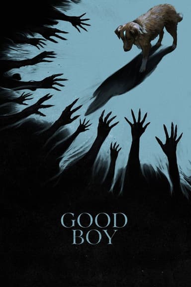 poster image