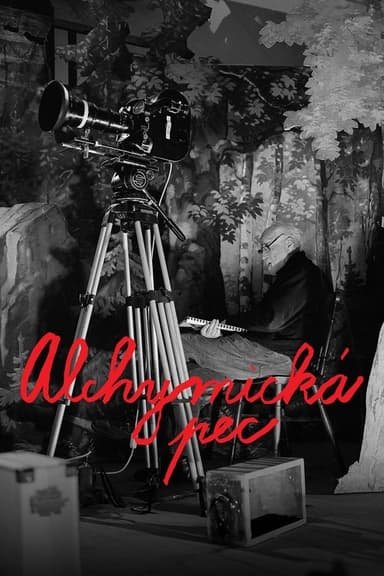 poster image