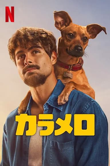 poster image