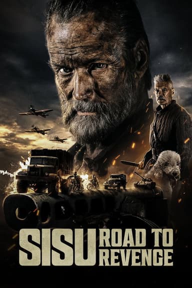 poster image