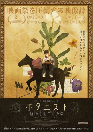 poster image
