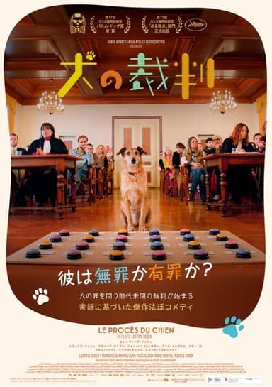 poster image