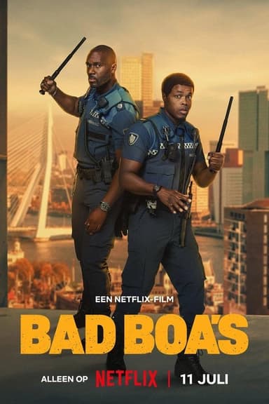 poster image