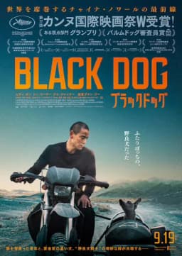 poster image