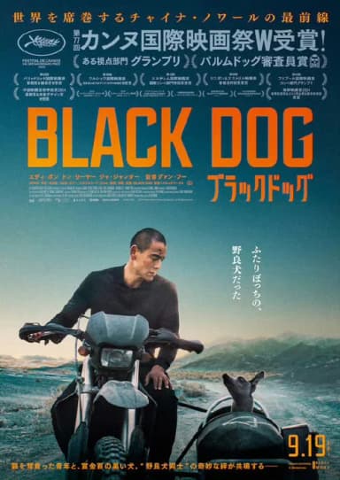 poster image