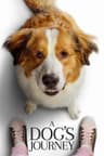 A Dog's Journey
