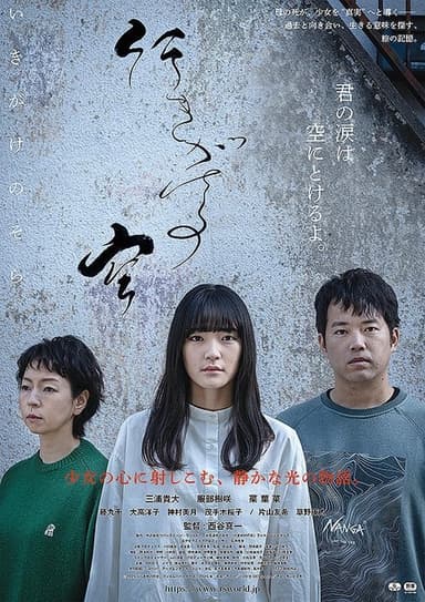 poster image