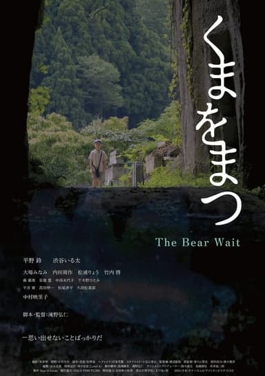 poster image