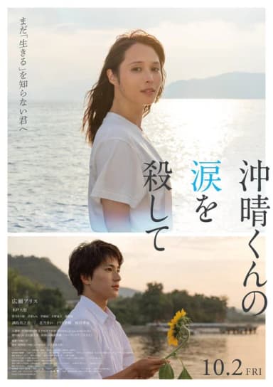 poster image